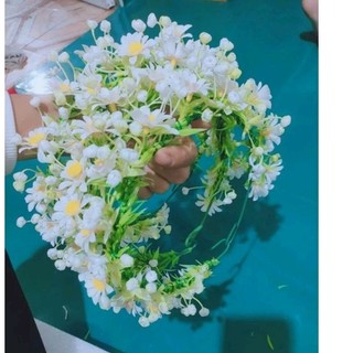 Vòng hoa đội đầu cúc họa mi, chụp kỉ yếu, sự kiện