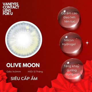 Olive brown VANEYES kính áp tròng cận 0-7.00 độ
