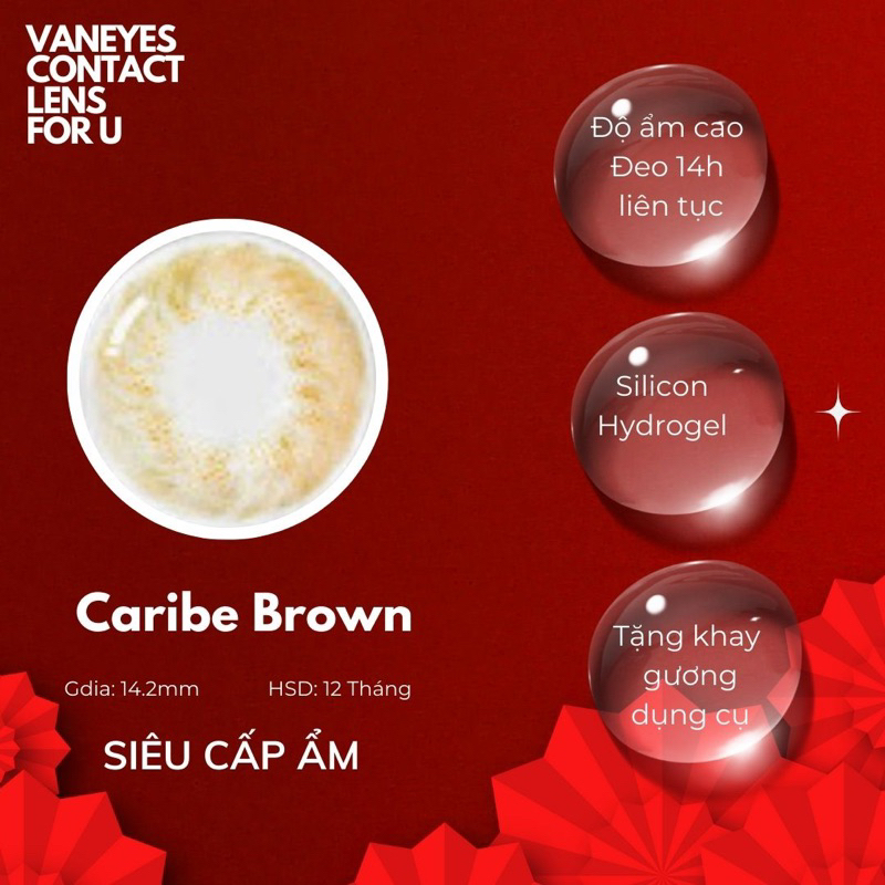 Kính áp tròng Caribe brown