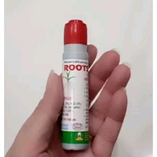 Siêu kích rễ, dưỡng rễ, đâm chồi