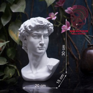 Tượng cổ điển DAVID