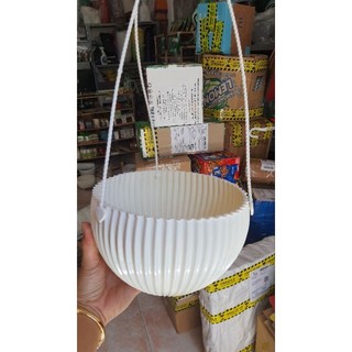 chậu treo trồng hoa mẫu gân sọc size lớn 20cm kèm dây treo