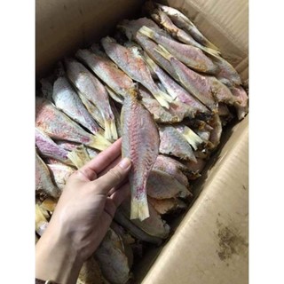 1kg CÁ PHÈN CHỈ khô thịt thơm ngon