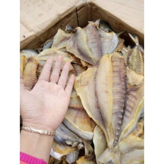 1kg CÁ CHIM BIỂN KHÔ