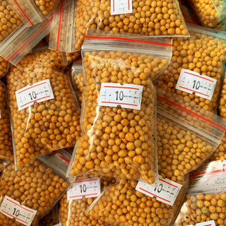 50gr phân tan chậm dành cho sen đá, xương rồng, hoa lan,…