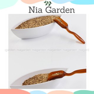 Muôi xẻng xúc đất trồng cây cảnh để bàn sen đá xương rồng tiểu cảnh Nia Garden N6