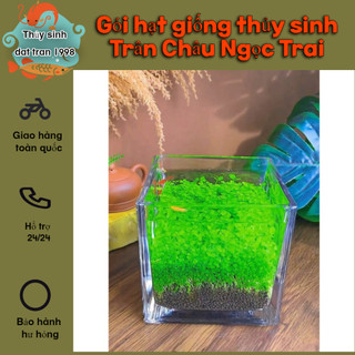 Combo 3 gói Hạt giống Trân Châu trải nền hồ thủy sinh,trang trí bể cá 2gam