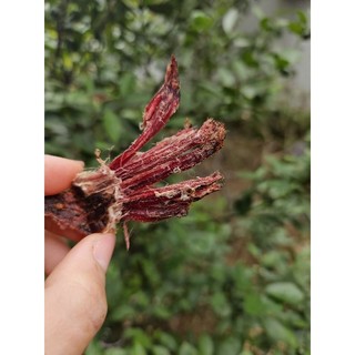 Thịt trâu gác bếp 500g( loại đặc biệt).