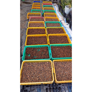 xỉ than sạch,đá lọc nước bao 20kg