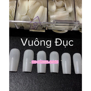 Móng úp HSM ( Hộp 500m )