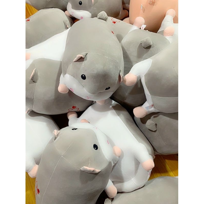 Chuột hamster