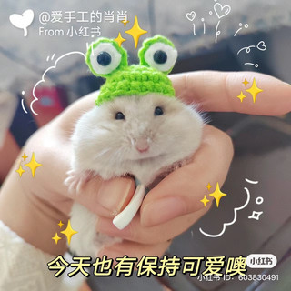Mũ dễ thương cho chuột hamster (link 1)