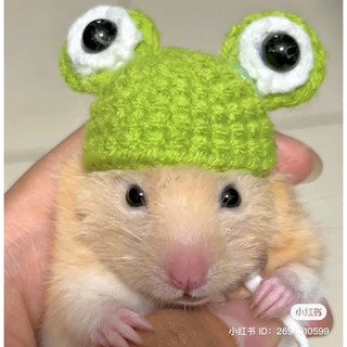 Mũ dễ thương cho chuột hamster (link 1)