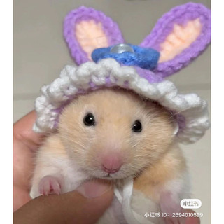 Mũ dễ thương cho chuột hamster (link 1)