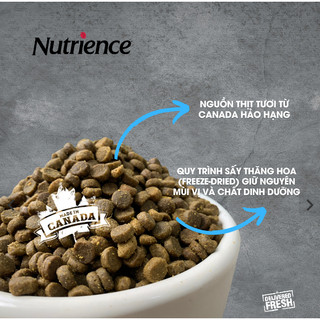 [Nguyên seal 5kg]Thức ăn mèo Nutrience Infusion