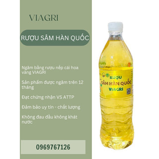 R.ƯỢU SÂM HÀN QUỐC NGÂM TỪ R,ƯỢU NẾP CÁI HOA VÀNG CHẤT LƯỢNG - ĐẢM BẢO VS ATTP