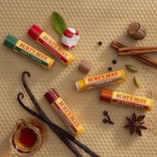 Burt bee son dưỡng môi sáp ong 100% thiên nhiên burts bees lip balm
