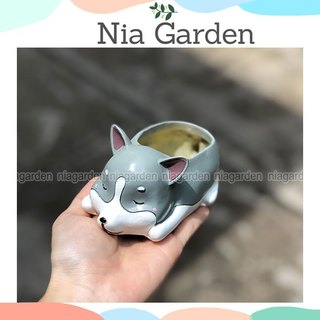 Chậu cây chó Husky trồng xương rồng cây cảnh sen đá mini Nia Garden N4