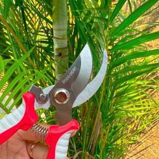 Kéo tỉa cành, cắt cành, kéo cắt tỉa cây cảnh rhino cán xam đỏ thép sk5