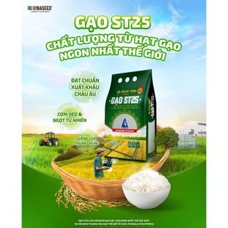 Gạo ST25 - VINASEED túi 5kg - chuẩn giống gạo ngon