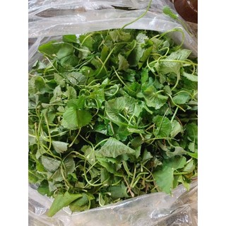 đọt rau lang 500g