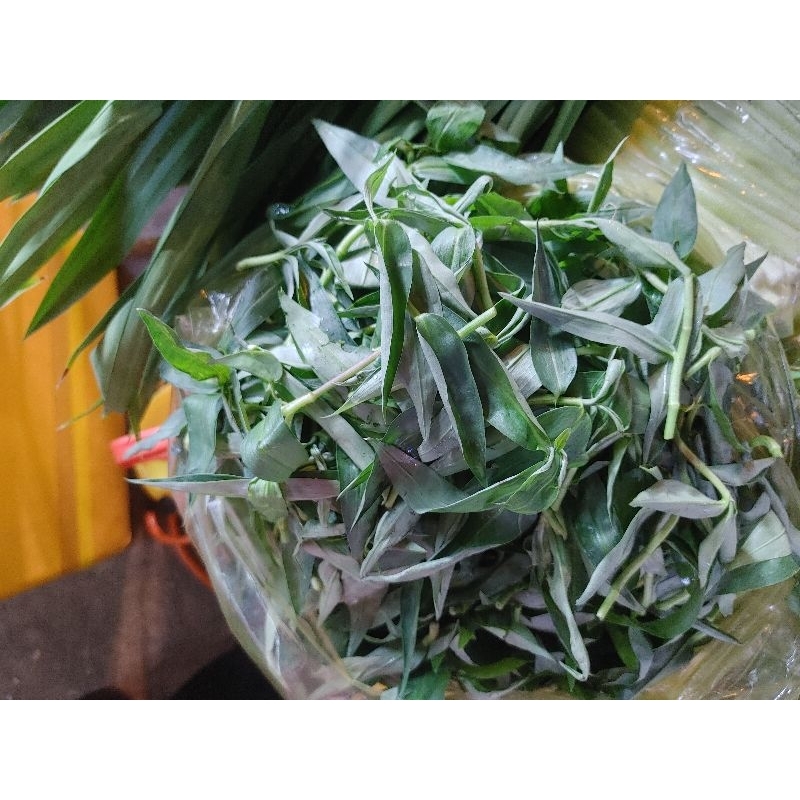 đọt rau trai 500g
