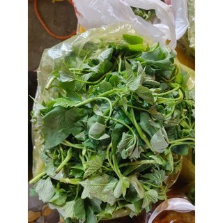 Đọt rau lang 100g