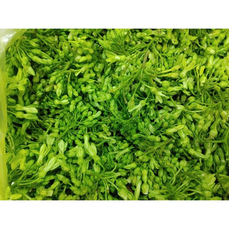 bông thiên lý 500g