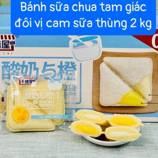 [Thùng 1KG] - Bánh sữa chua trái cây 3 vị tam giác đôi