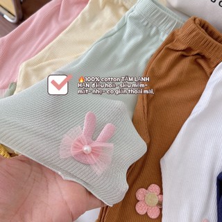 SET 4 QUẦN LEGGING LỬNG HÀN QUỐC CHO BÉ
