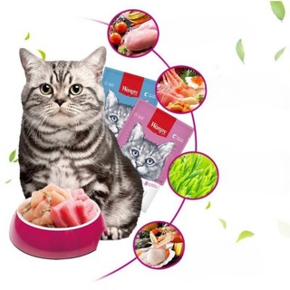 COMBO 10 GÓI PATE WANPY CHO MÈO 80GR CHO MÈO MỌI LỨA TUỔI