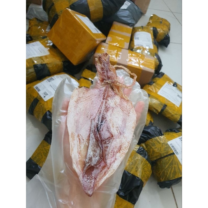 Combo 5 Con Mực Câu Sầm Sơn Chỉ 75k, Size 50-60 Con