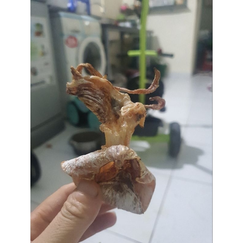 Combo 5 Con Mực Câu Sầm Sơn Chỉ 75k, Size 50-60 Con