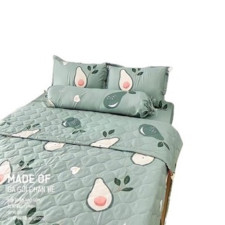 Chăn hè trần bông 3 lớp COTTON POLY  (Được chọn mẫu)