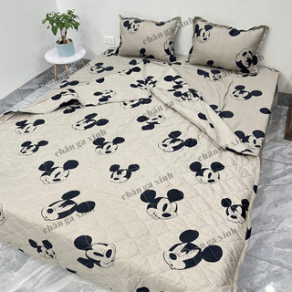 Chăn hè cotton poly trần bông 3 lớp