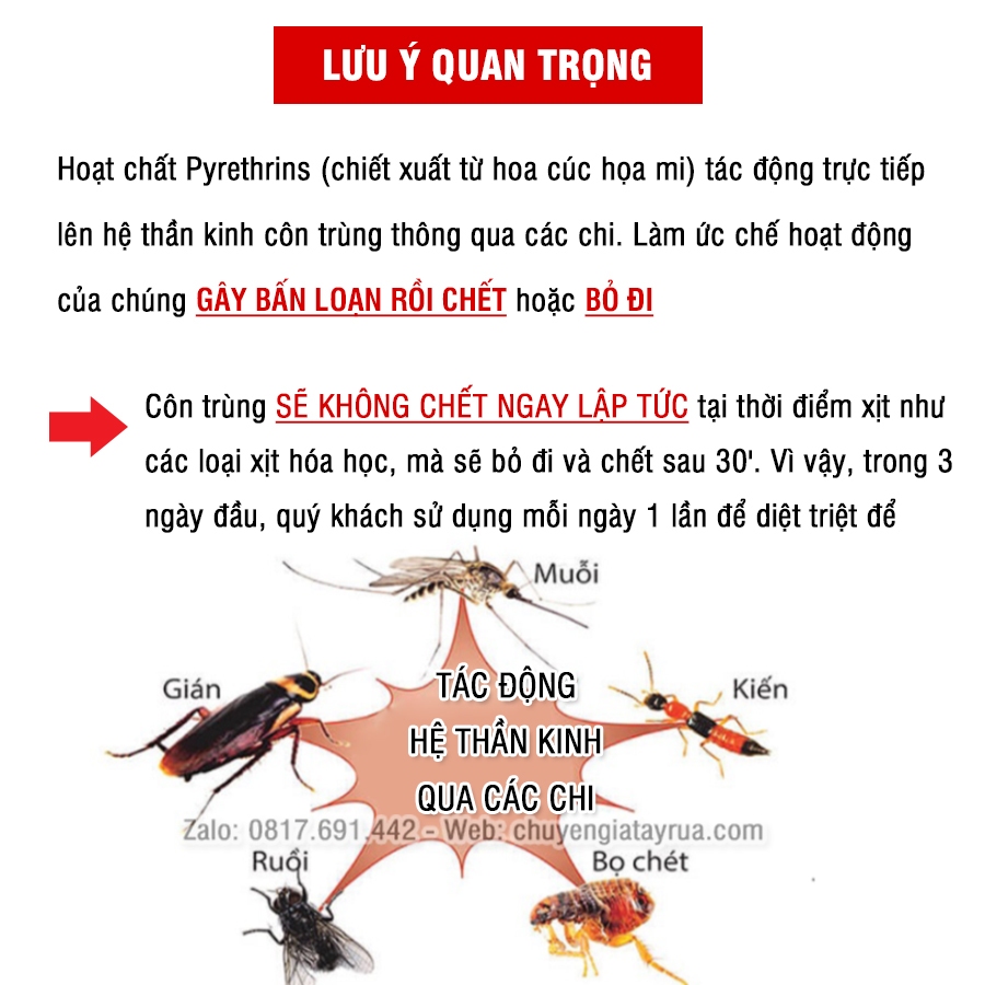 Combo Sạch Muỗi Thơm Phòng: Chai Xịt Tinh Dầu Thiên Nhiên 500ml & Chai Xịt Sinh Học Diệt Côn Trùng 500ml