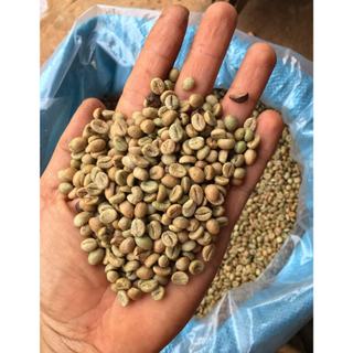 Cafe Nhấp Môi Gu Việt bột 500gr