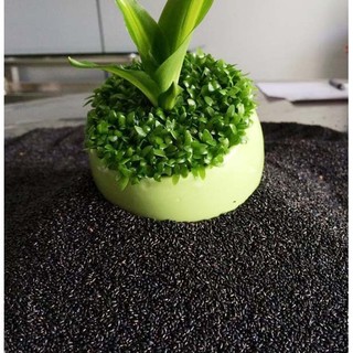 Hạt giống cỏ may mắn