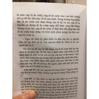 kỹ thuật nuôi ong mật
