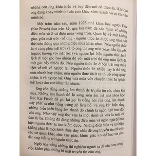 kỹ thuật nuôi ong mật