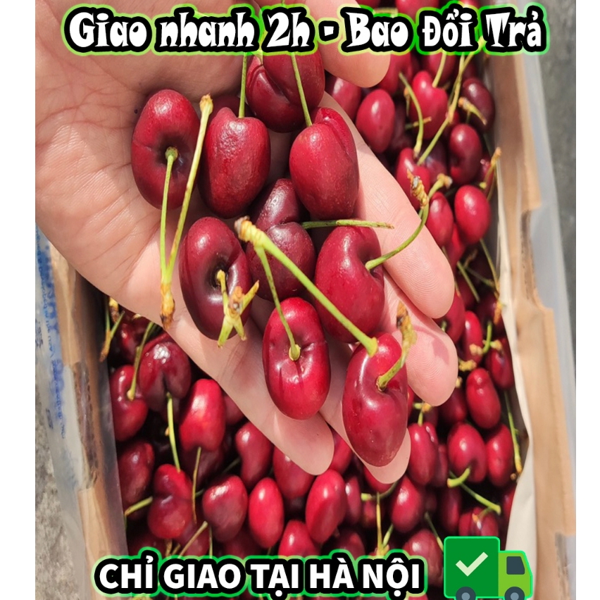 🍒 CHERRY CHILE UNI CHỦNG LAPINS   SZ26-28mm E CẬP KHO NGON ĐỈNH CHÓP - Hoa quả nhập khẩu - Goldenfruit