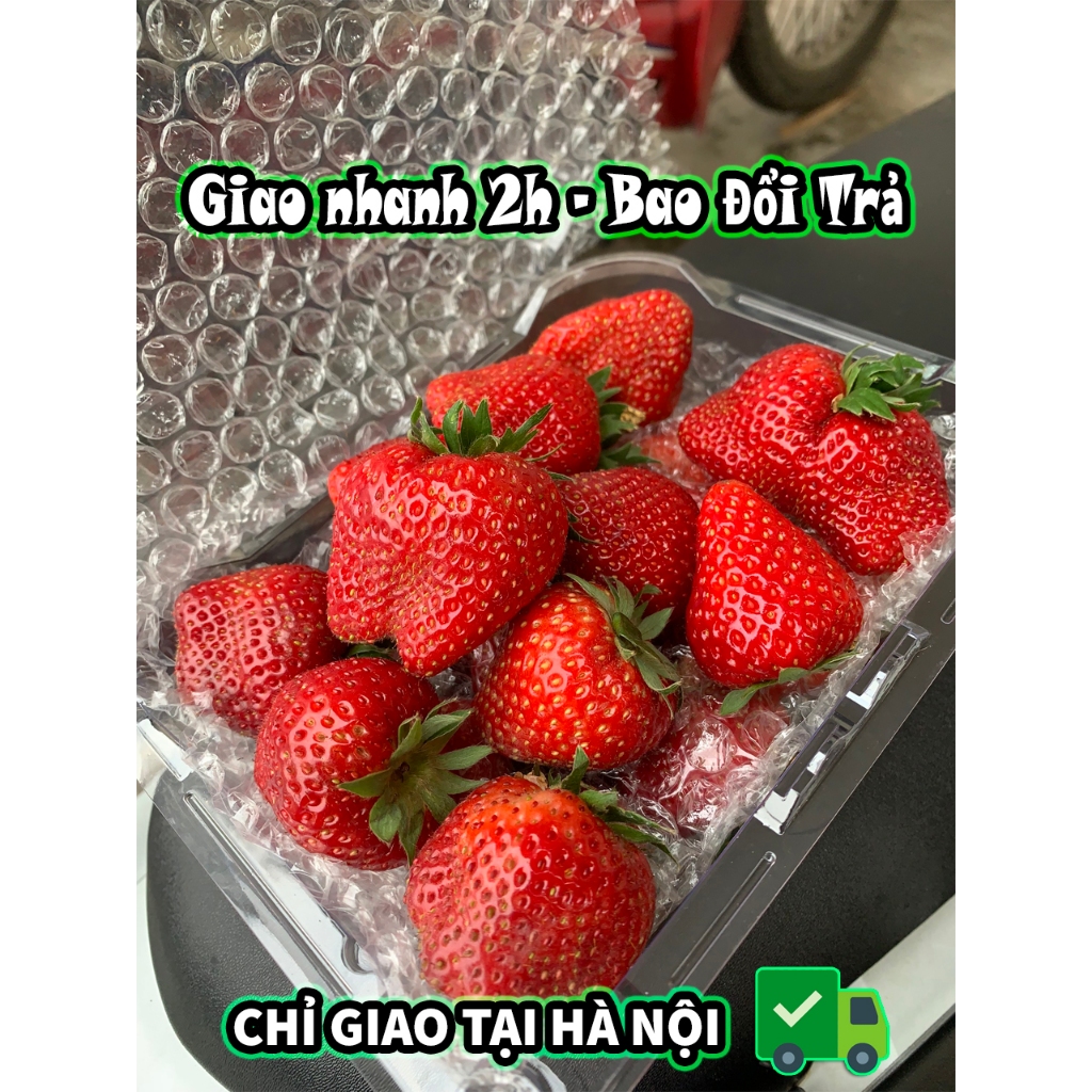 🍓 DÂU TÂY HANA MỘC CHÂU  SIZE TO 🍓 🍓    - Goldenfruit - Hoa quả nhập khẩu