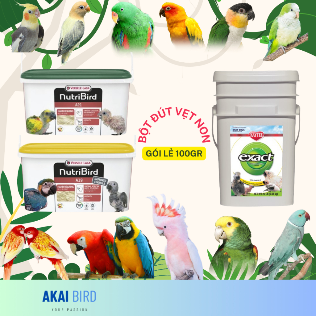 [100Gr] Bột A19 / A21 / Kaytee Dành Cho Vẹt Non.…..