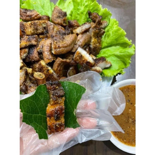 Cây dổi ăn lá (cây giống) - mua 4cây tặng 1cây