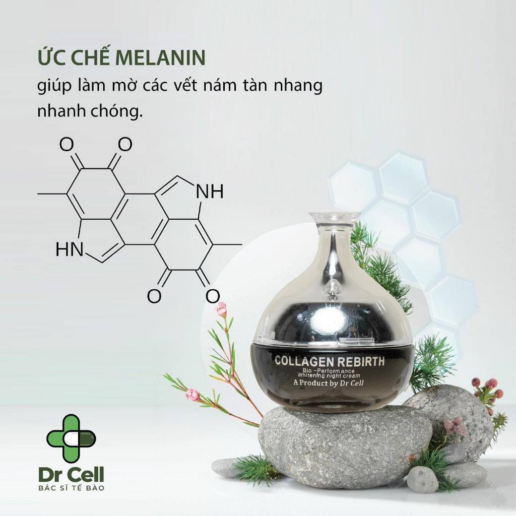 Kem Dưỡng Ban Đêm Collagen Rebirth - Dưỡng Trắng Da- Chống Lão Hoá 30g