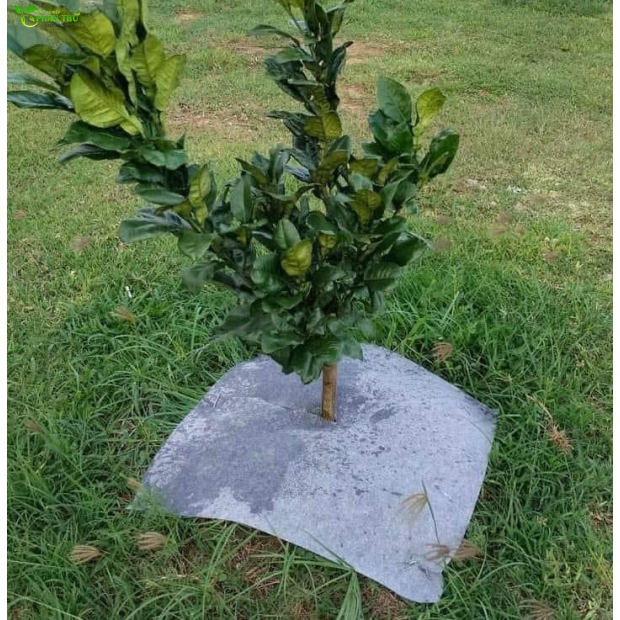 Bạt phủ gốc cây - Bạt phủ cỏ đầy đủ kích thước