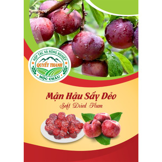 Mận sấy dẻo mộc châu hộp/hũ 200gr