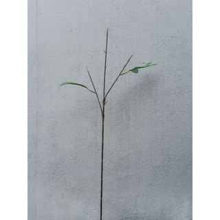 Cành 3 nhánh cắm hoa giả