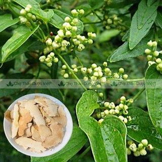 Tỳ giải khô 1kg, thái lát mỏng, thơm, trắng, hỗ trợ giảm đau nhức xương khớp, tốt cho đường tiết niệu