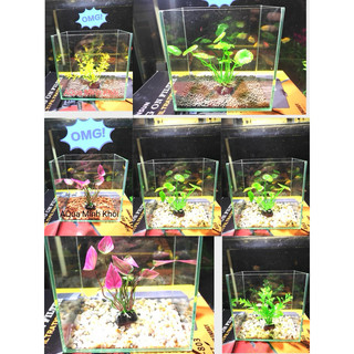 bể cá để bàn bể cá mini, Betta, guppy 151015 kính việt nhật